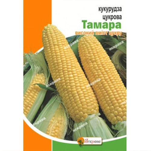 Кукурудза Цукрова Тамара 20г — фото 2
