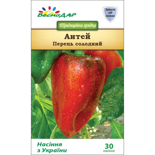 Перець солодкий Антей