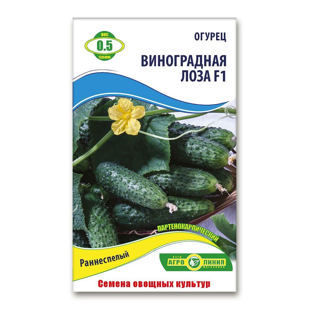 Огірок Виноградна лоза ранній 1г