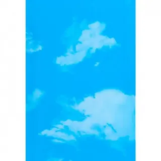 Панель пластик"ES"250*8*6000мм Небо