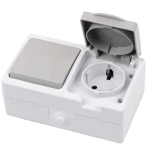 Вимикач зовнішній 1кл+розетка з кришкою IP54 LEZARD 