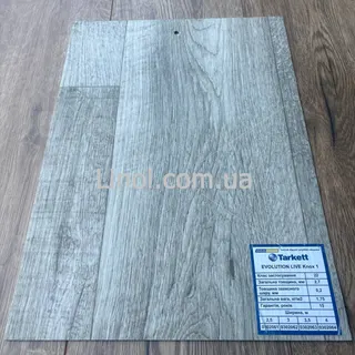 Лінолеум Tarkett Evolution Live  TIBO 5  2м 1клас