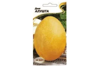 Диня Алушта 2гр  Яскрава