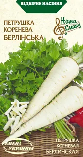 Зелень, салат
