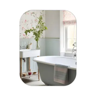 Дзеркало Nicole 450*600 Lidz